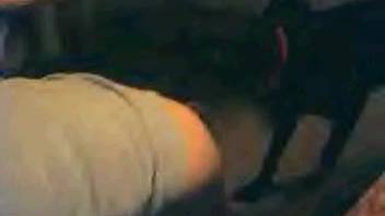 Canine penetrates elderly woman in her vagina during intimate alone sequences