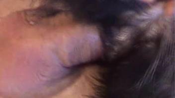 Guy gets pleasure from canine in explicit scenes from full Xnxx video
