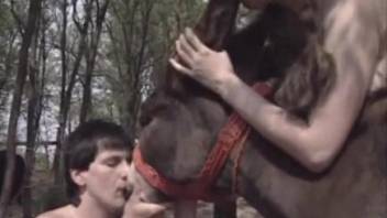 Amateur tries group sex along a dog in outdoor scenes